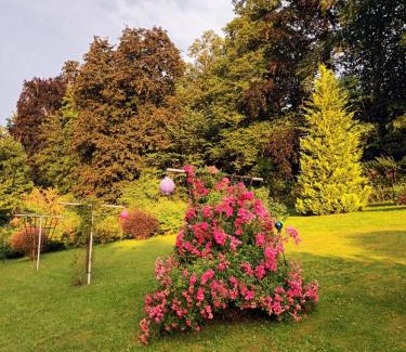Ziegenrueck Apartment | Child-Friendly Apartment Leucht with a 9.4/10 Guest Rating