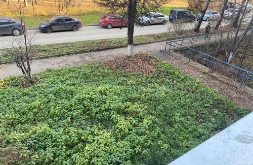 Nizhny Novgorod Apartment | Cozy Apartment Lomonosova 13 - Pet Friendly Stay