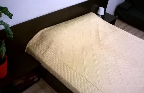 Nizhny Novgorod Apartment | Cozy Apartment Lomonosova 13 - Pet Friendly Stay