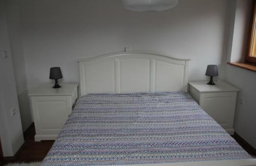 Cezsoca Apartment | Discover Apartment MT Čezsoča: Pet-Friendly Retreat