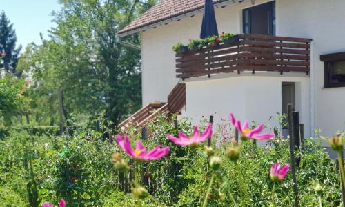 Dreznik Grad Apartment | Exceptional Apartment Murva: 4-Star Stay with Hot Tub