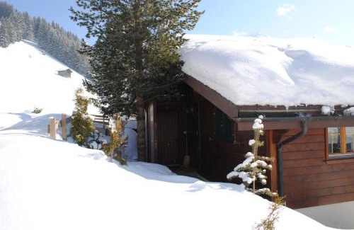Adelboden Apartment | Pet-Friendly Escape at Apartment Nadeschda - 8.3/10 Rated
