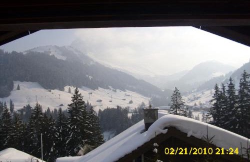 Adelboden Apartment | Pet-Friendly Escape at Apartment Nadeschda - 8.3/10 Rated
