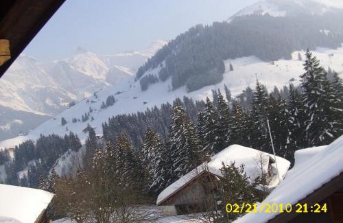 Adelboden Apartment | Pet-Friendly Escape at Apartment Nadeschda - 8.3/10 Rated