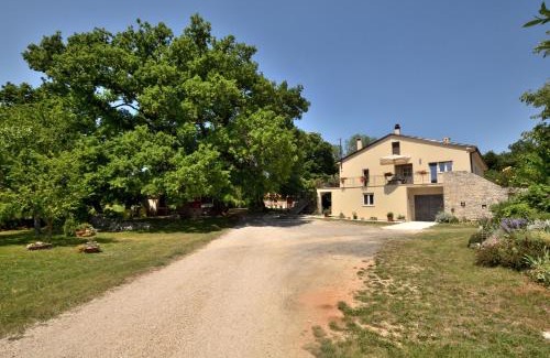 Vadediji Apartment | Apartment Napoleon