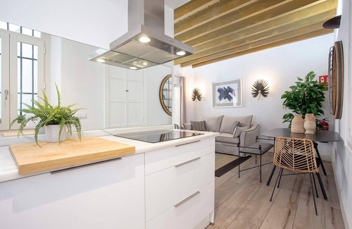 El Arenal Apartment | Delightful Apartment near Cathedral with Spa & Kitchen