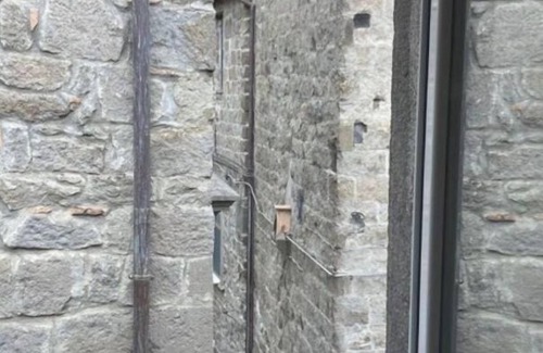 Viterbo House | Cozy Apartment in the Heart of Medieval District S. Pellegrino