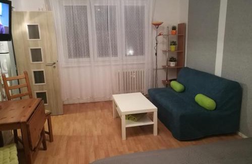 Brno-stred Apartment | Pet-Friendly Apartment Oltec with Top Guest Reviews