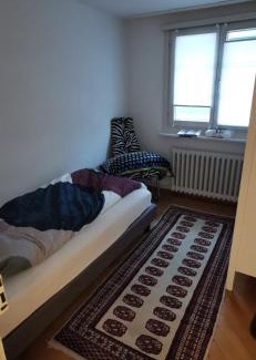 Meilen District Apartment | Apartment on 2 floors