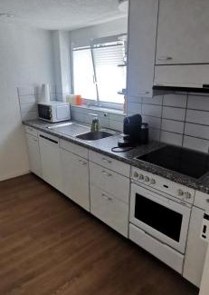 Meilen District Apartment | Apartment on 2 floors