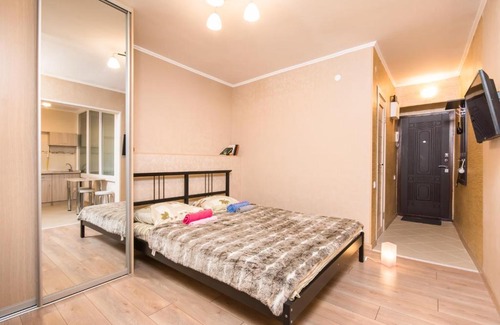 Kazan Apartment | Pet-Friendly Apartment on Chekhova with Breakfast Included