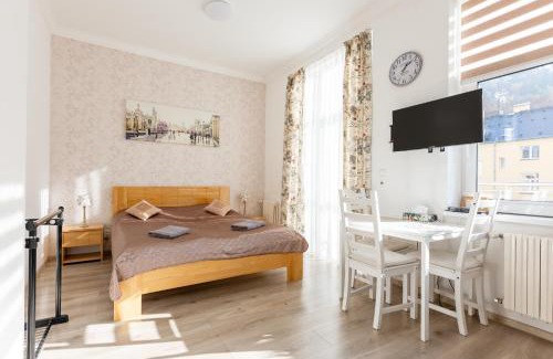Karlovy Vary Apartment | Pet-Friendly Apartment on Krymska with Top Guest Ratings