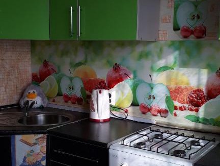 Voronezh Apartment | Pet-Friendly Retreat at Apartment on Teplichnaya 26G