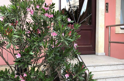 Laubegast Apartment | Cozy Apartment on the Elbe Ferry - Guest Rated 9.8/10