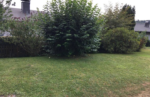 Gudenhagen Apartment | Guest Rated 10/10: Apartment on the Rothaarsteig Retreat