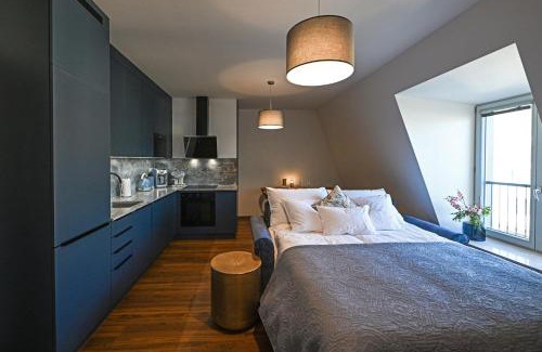 Brno-stred Apartment | Apartment Opustena