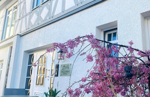 Hoehr-Grenzhausen Apartment | Cozy Apartment Orchidee with Kitchen in Château d'Esprit