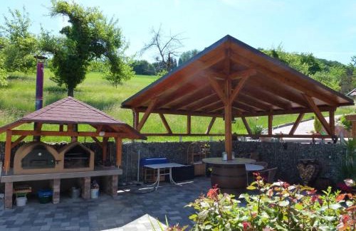 Steinach Apartment | Welcoming Apartment Pension Himmelsbach with Pool Access
