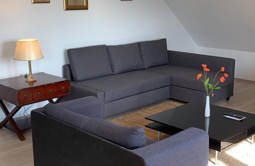 Volkach Apartment | Relaxing Apartment Promedklinik 2 by the Main River