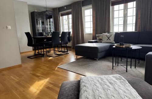 Roldal Apartment | Apartment Røldal