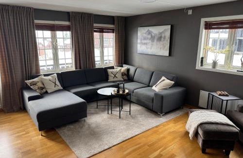 Roldal Apartment | Apartment Røldal