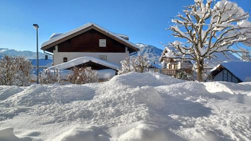 Burgberg Apartment | Pet-Friendly Apartment Regina with 9.7/10 Guest Rating