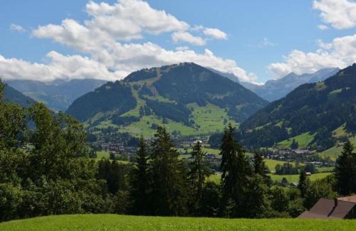 Saanen Apartment | Cozy Apartment Rehweid - Family-Friendly Comfort Awaits