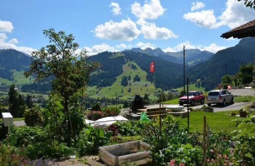 Saanen Apartment | Cozy Apartment Rehweid - Family-Friendly Comfort Awaits