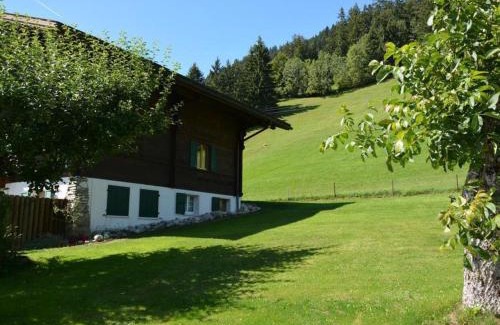 Saanen Apartment | Cozy Apartment Rehweid - Family-Friendly Comfort Awaits