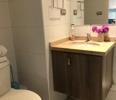 Downtown Santiago Apartment | Cozy Apartment Relocation with Child-Friendly Amenities