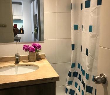 Downtown Santiago Apartment | Cozy Apartment Relocation with Child-Friendly Amenities