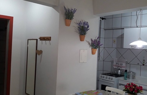 Ingleses do Rio Vermelho Apartment | Central Ingleses Apartment with Pool and Ocean View