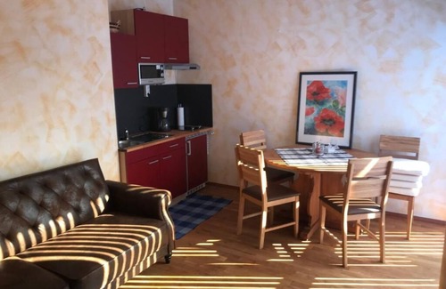 Auerbach Apartment | Relax at Apartment Rita with Sauna, Terrace & Pet-Friendly Stays