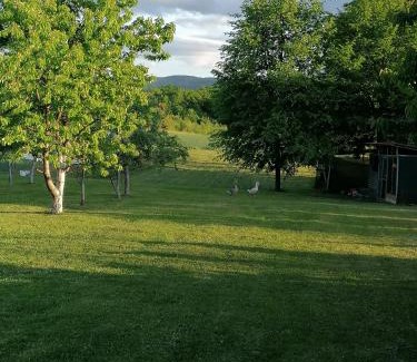Dreznik Grad House | Exceptional Apartment & Rooms Arija with Family-Friendly Amenities