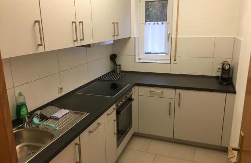 Loerrach Apartment | Family-Friendly Apartment Schiller with High Guest Ratings