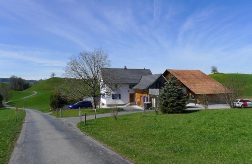 Horgen District Apartment | Pet-Friendly Apartment Schlieregg with High Guest Rating