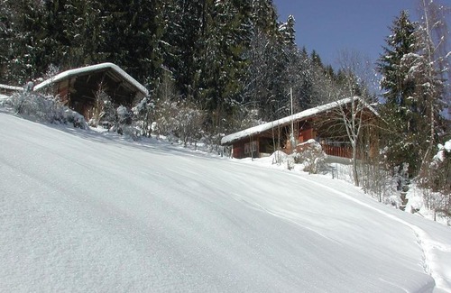 Zweisimmen Apartment | Family-Friendly Apartment Schnäggedanz with Great Amenities