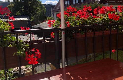 Schwarzburg Condo | Cozy Apartment Schwarzatal with Pool & Breakfast Included