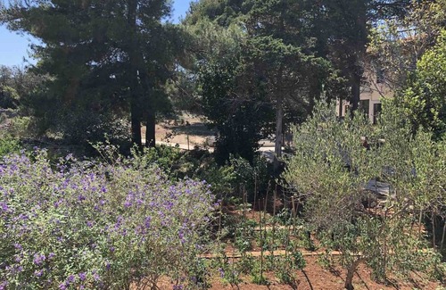 Ilovik House | Seaview Apartment Ilovik: Guest Rated 10/10 & Pet Friendly