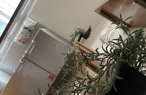 Loreto Apartment | Prime Location Apartment Steps from Milano Central Station
