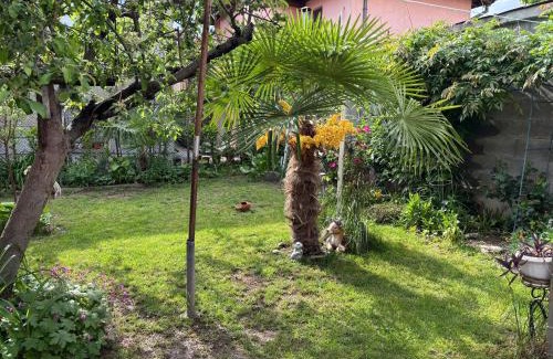 Panagyurishte Apartment | Affordable Family Stay at Apartment Siyana for Your Adventure