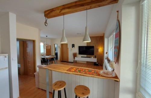 Vysne Ruzbachy Apartment | Cozy Apartment SKI-BIKE-HIKE with Spa in Vyšné Ružbachy