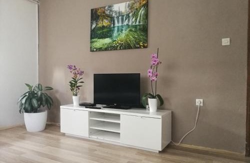 Catrnja Apartment | Pet and Child-Friendly Apartment Smoljanac 14979b Awaits