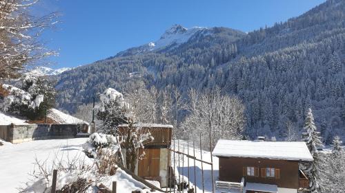 Dalaas Apartment | Oceanfront Apartment Sonnenbüchel: Pet Friendly & Family-Ready