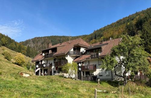 Todtnau Apartment | Pet-Friendly Apartment Sonnenblick II for Family Getaways