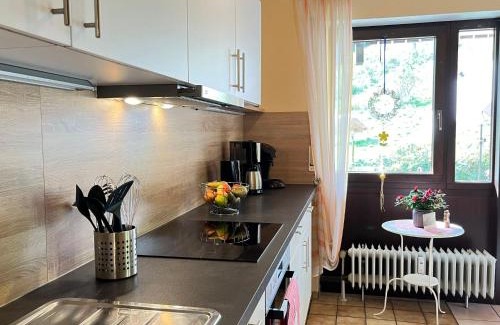 Todtnau Apartment | Pet-Friendly Apartment Sonnenblick II for Family Getaways