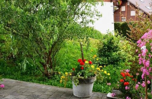 Zweisimmen Apartment | Guest Rated 10/10: Apartment Spillgerten-Blick Awaits You