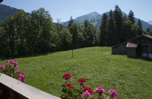Zweisimmen Nr Gstaad Apartment | Highly Rated Apartment Steimandli with Family-Friendly Amenities