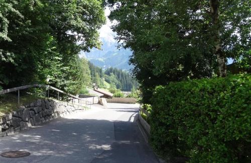 Lenk Apartment | Pet-Friendly Apartment Steirösli with Top Guest Ratings