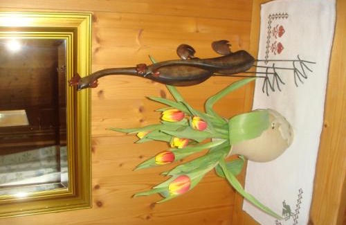 Grossdorf Apartment | Charming Apartment Sutterlüty - Guest Rated 9.5/10